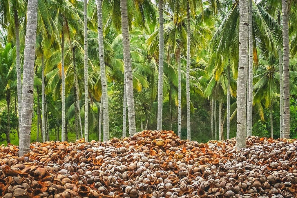 fertiliser-4